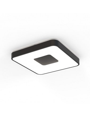 Plafón Coin